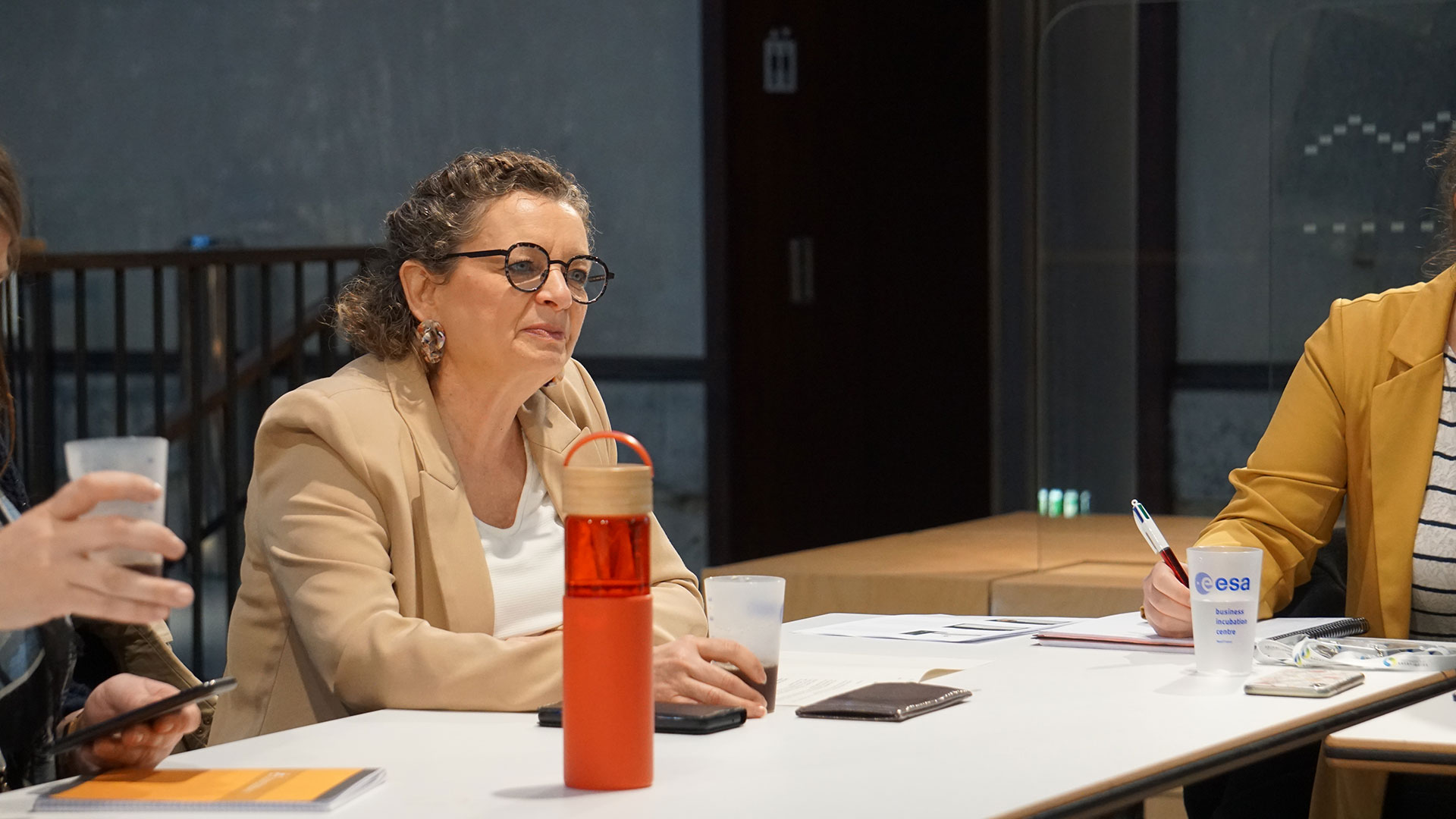Frédérique Bonnard Le Floc’h, Vice-présidente de Brest métropole