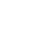 AMMONITE CONSULTING