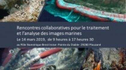 Rencontres collaboratives pour le traitement et l’analyse des images marines 