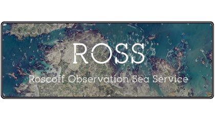 Newsletter du Service Observation de la Station Biologique de Roscoff