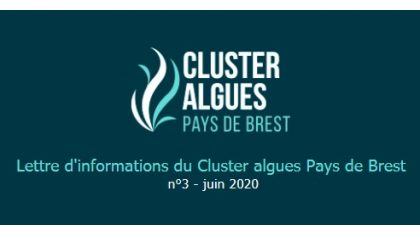 Cluster Algues, lettre d'information n°3