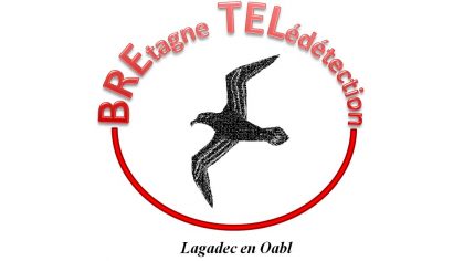 Télédétection |workshop Monitoring of the environment in the framework of the NEREUS working group on GMES | présentations en ligne