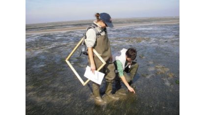 Connaissance des eaux littorales et estuariennes des régions Bretagne et Pays de la Loire | surveillance environnementale