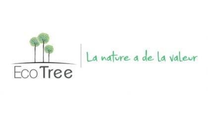 Partenariat EcoTree et Orange : compenser son empreinte carbone