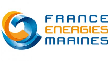 logo FEM.jpg
