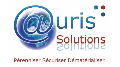 Auris Solutions | Stratégie numérique (comment une entreprise peut innover grâce aux services internet en ligne)