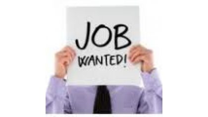 Job Wanted! Ecologue marine, Coordinatrice de projets