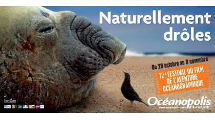 Des animaux marins  « naturellement drôles » ... 12ème édition de son Festival du Film de l’Aventure Océanographique à Océanopolis