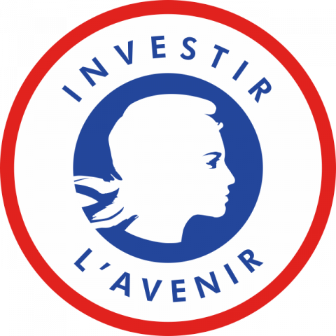 Programme Investissement d'Avenir