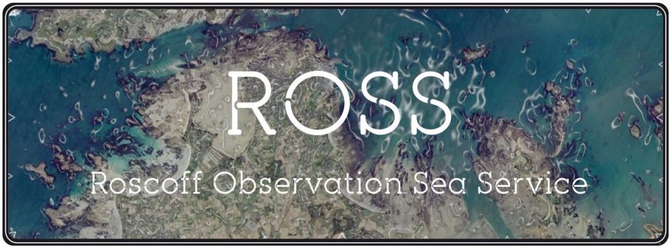 Newsletter du Service Observation de la Station Biologique de Roscoff
