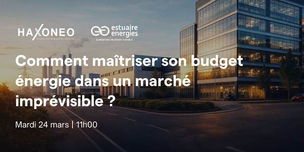 Webinaire - Comment maîtriser son budget énergie dans un marché imprévisible ?