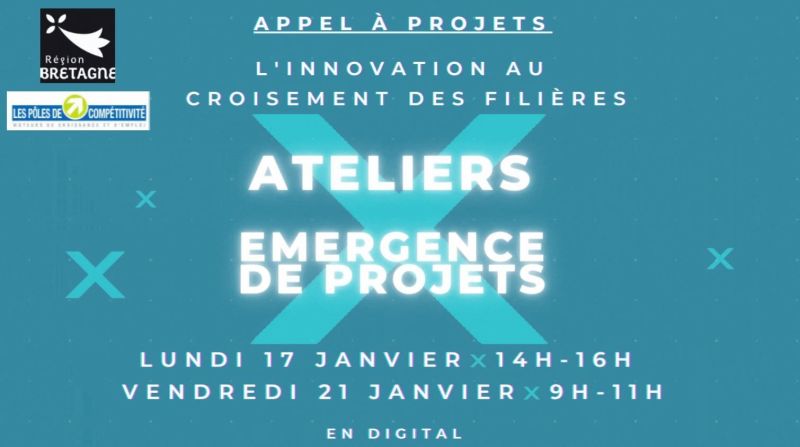 L'innovation collaborative au croisement des filières. 2ème atelier d'émergence de projet